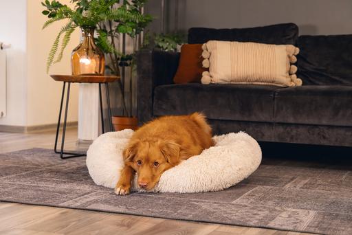 Image du produit Beeztees Hundebett Yala (Chien)
