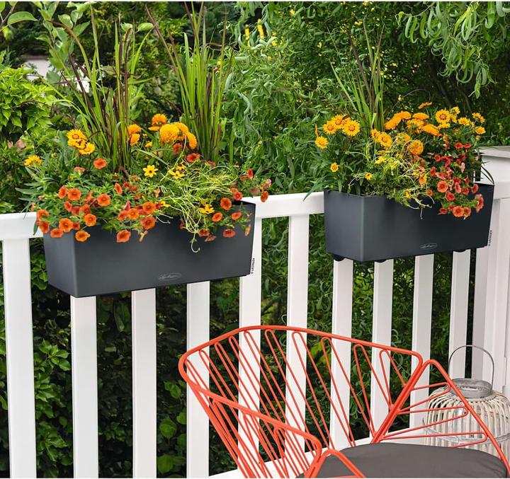 Actual product image Lechuza Balconera Color (19 cm)