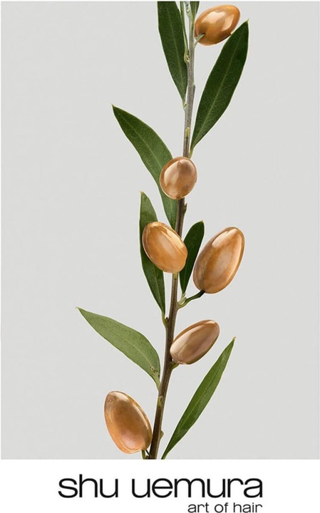 Actual product image Shu Uemura Silk Bloom Restorative Shampoo (300 ml, Liquid shampoo)