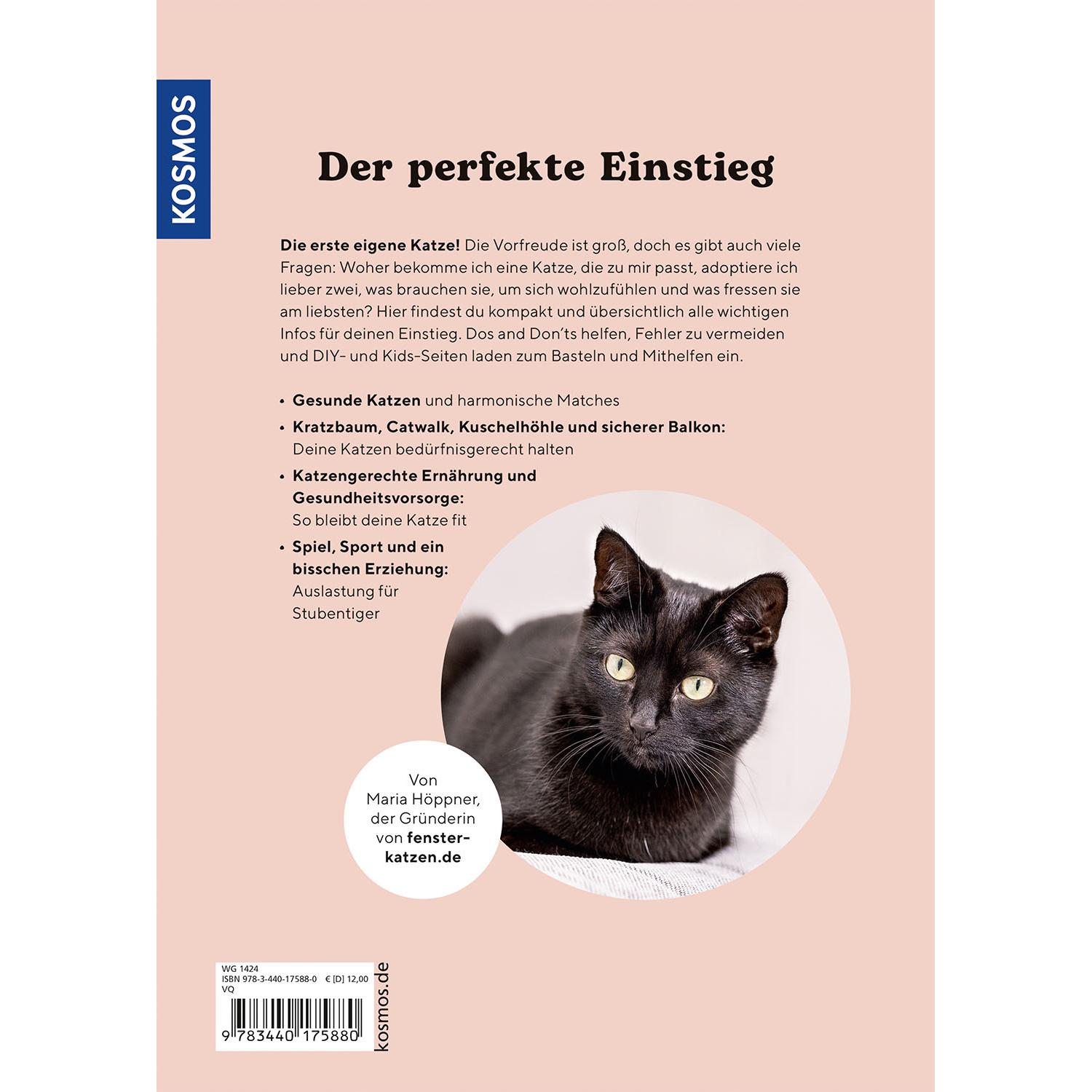 Thumbnail - Kätzchen, Ratgeber von Maria Höppner
