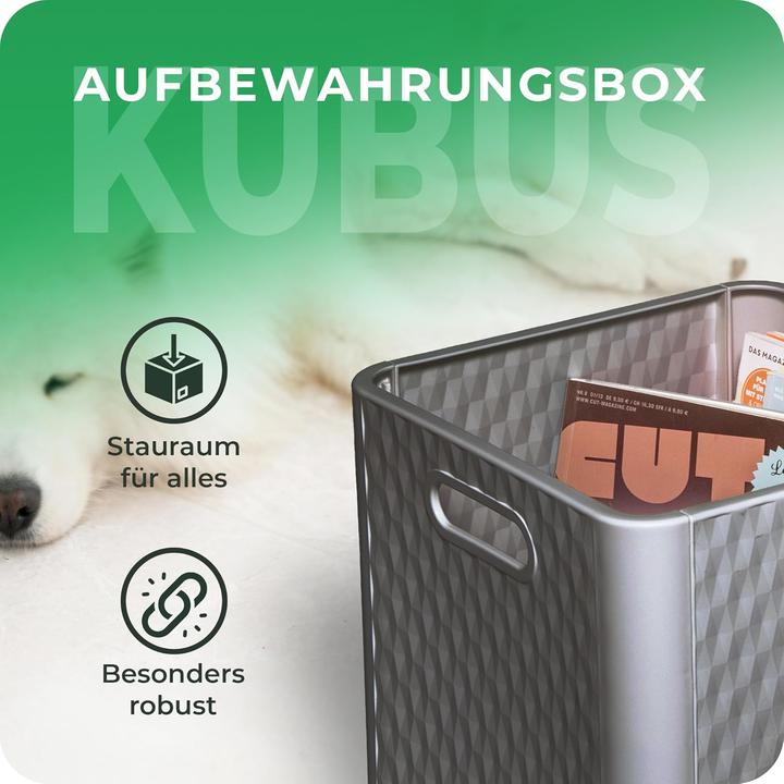 Produktbild Novaliv 6X Box 30x30x30 cm Kunststoff Boxen für Kallax Regal Körbe 30x30 Aufbewahrungsbox als Schran (30 x 30 x 30 cm, 25 l)