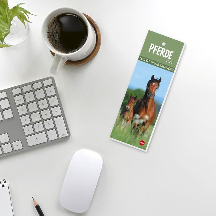 Produktbild Pferde Lesezeichen & Kalender 2026 (6 x 18 cm)