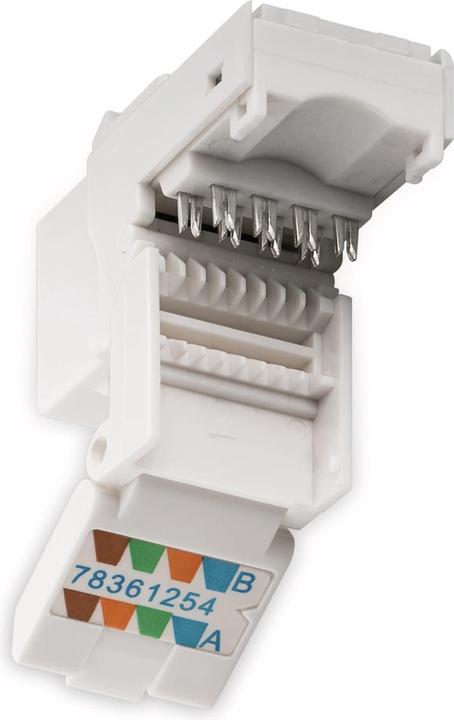 Actual product image Goobay modular input (Network coupling)