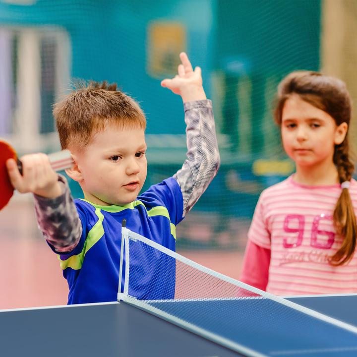 Immagine prodotto Relaxdays Tavolo ping-pong