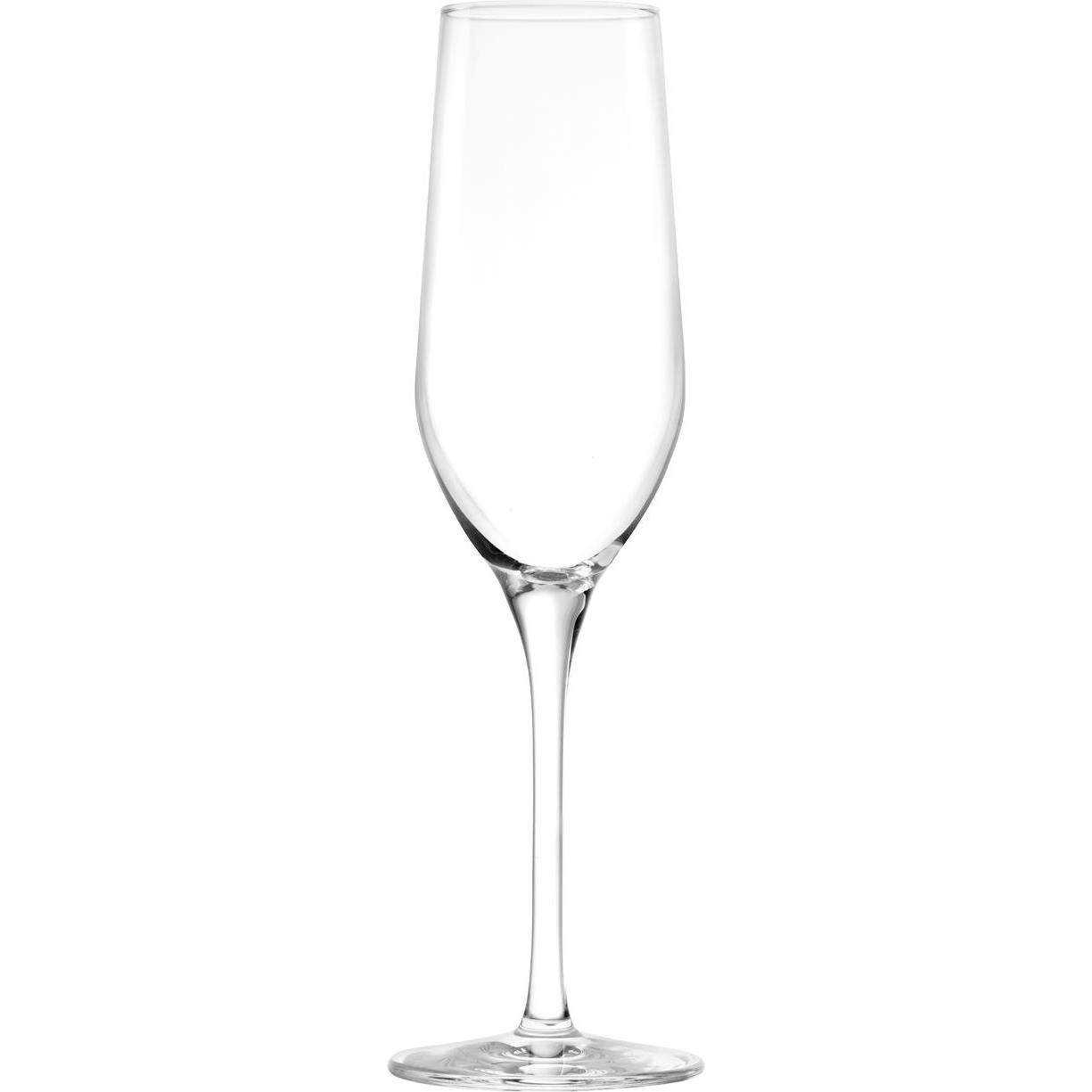 Stölzle Ultra (18.50 cl, 6 Gläser, Sektgläser) (376 00 07)