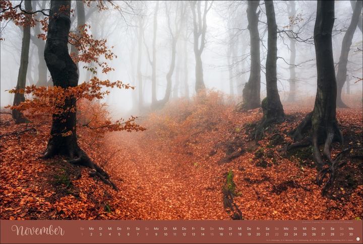 Actual product image Zauberwälder Edition Kalender 2026 (58 x 39 cm)
