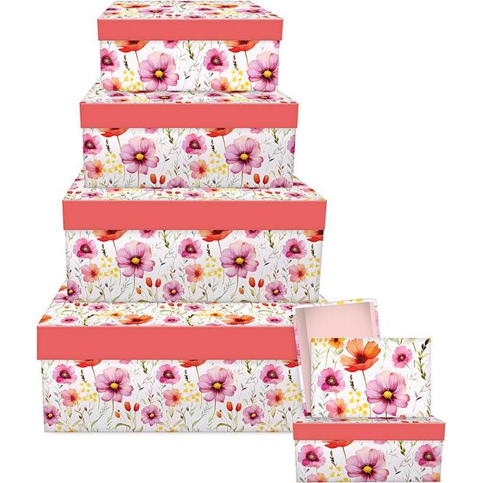 Braun + Company, Geschenkverpackung, Geschenkpapier 2mx70cm (Geschenkpapier)