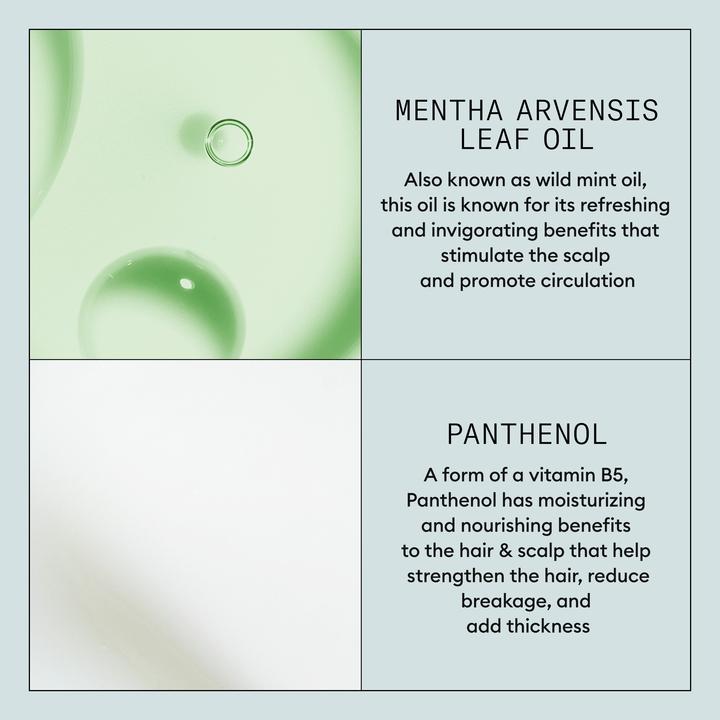 Image du produit Nioxin Density Defend Styling Fixation forte 300ml (300 ml)