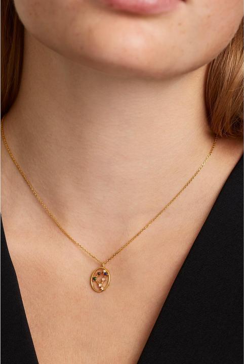 Immagine prodotto Pd Paola Collana Costellazioni dello Zodiaco Capricorno (Argento 925, 50 cm)