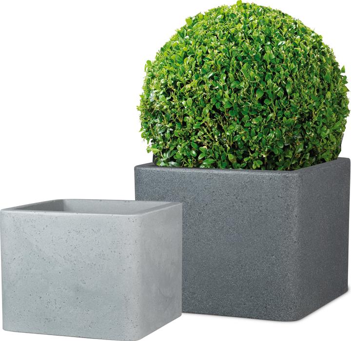 Produktbild Scheurich Alea (38 x 38 x 33 cm)