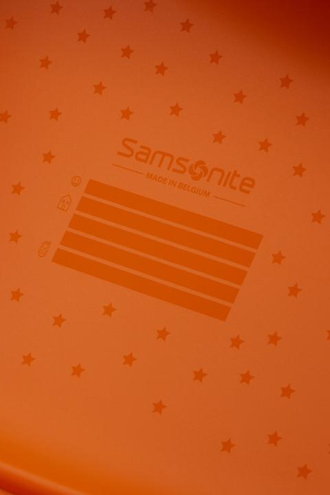 Produktbild Samsonite Dream Rider Tiger T. (30 l)