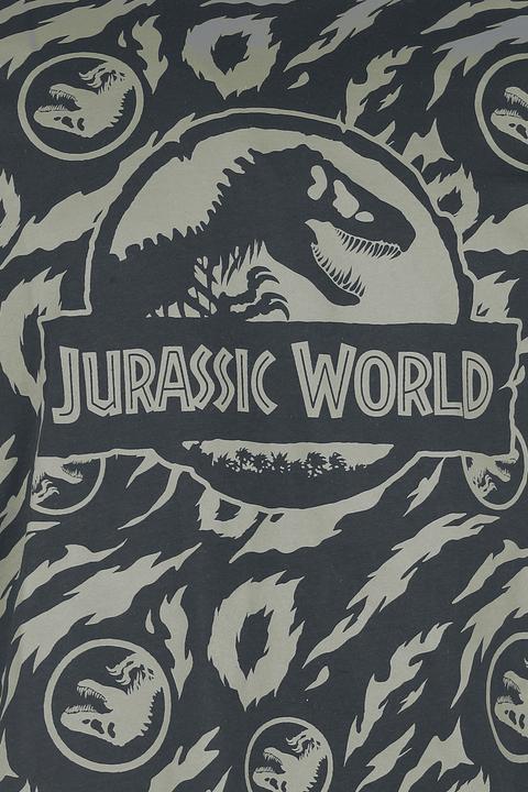 Produktbild Jurassic Park Jurassic World - Allover (3XL)