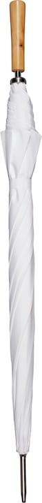 Actual product image Strotz Big