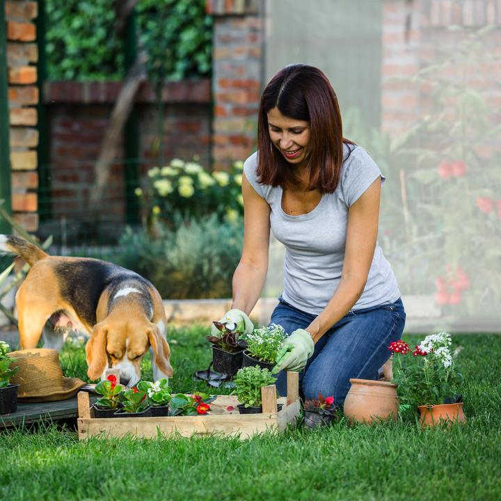 Produktbild Relaxdays Tomatengewächshaus