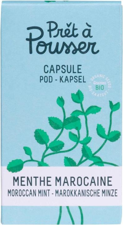 Image du produit Prêt à Pousser Menthe marocaine (Graines d'herbes aromatiques)