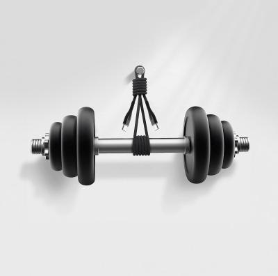 Actual product image Statik USB Type C - USB Type C (2 m, USB 2.0, 100 W)