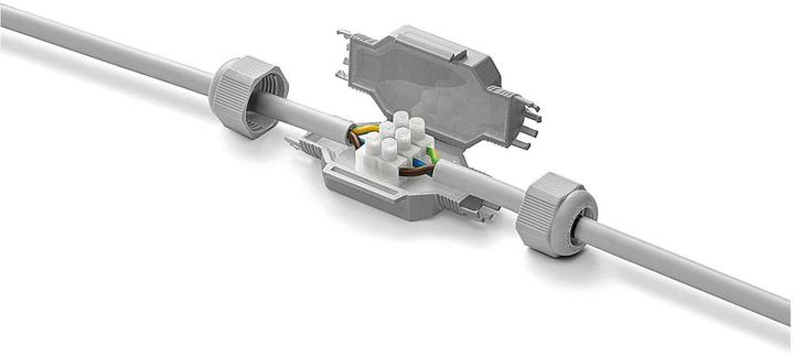 Actual product image Raytech Gel Box Fred