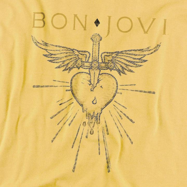 Produktbild Bon Jovi Greatest Hits TShirt (M)