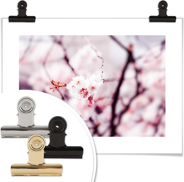 Produktbild Trenddeko Kirschblüte 02 (80 x 60 cm)