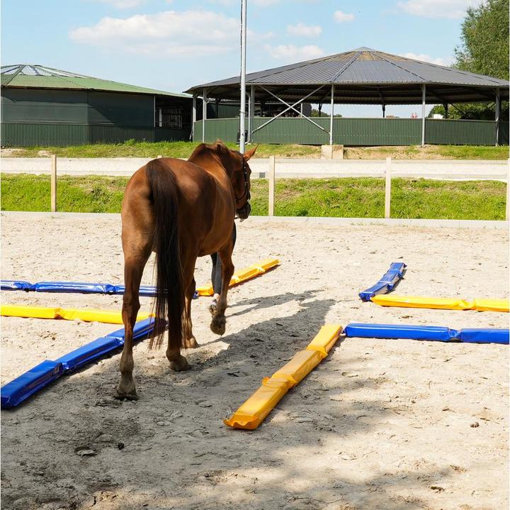 Immagine prodotto Dönges Set vicolo dei cavalli