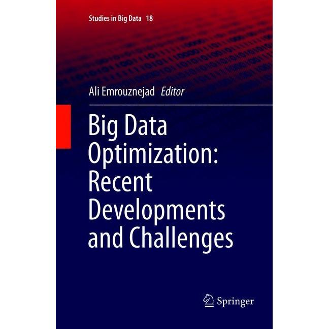 Big Data Optimization: Recent Developments and Challenges, Fachbücher von Ali Emrouznejad