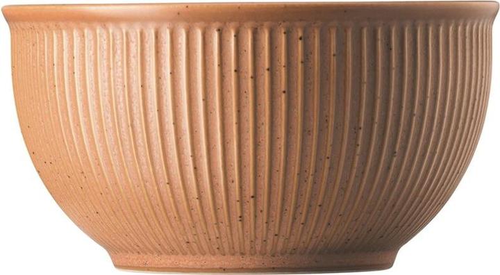 Produktbild Thomas Schale Earth (13.40 cm, 0.45 l, 1 x)