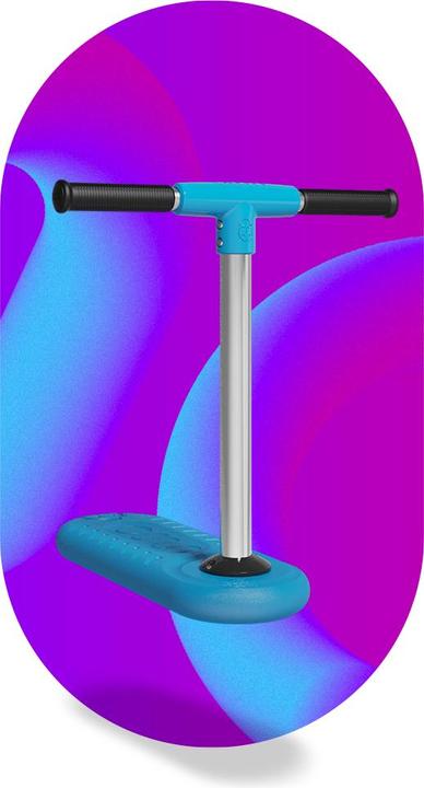 Actual product image Indo Bug