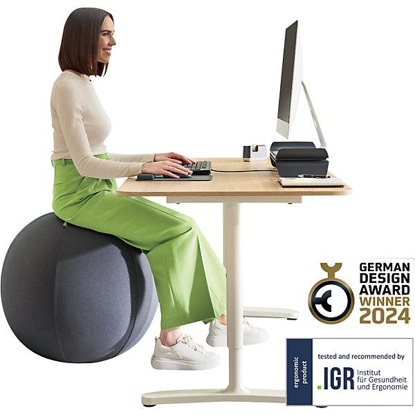 Immagine prodotto Leitz Ergo Active (75 cm)