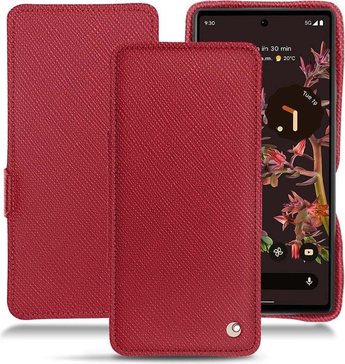 Rouge passion ( Pantone #a6192e )