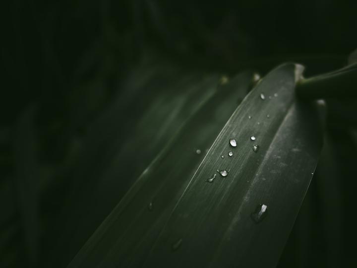 Produktbild OM System M.Zuiko Digital ED 17mm F/1.8 II MFT (Micro Four Thirds, Micro Four Thirds)