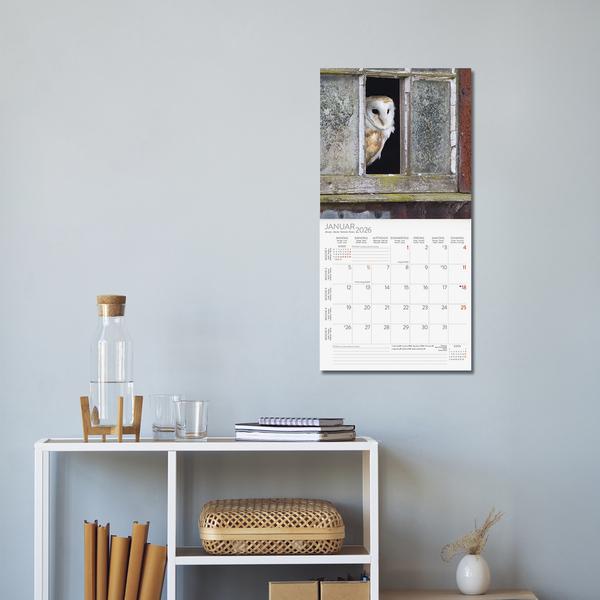 Produktbild Eulen 2026 (30 x 30 cm)