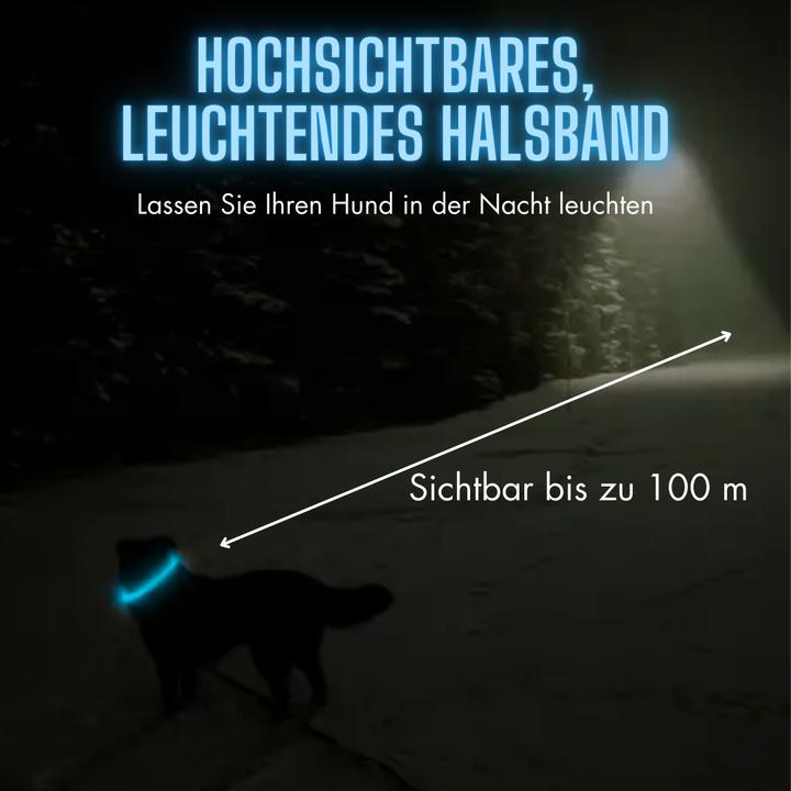 Produktbild Suba Leuchthalsband Hund (Hund, Allgemein)