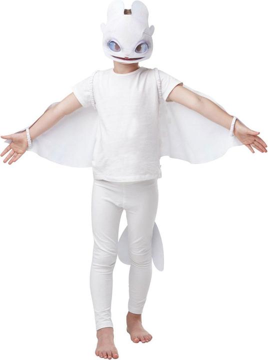 Actual product image Rubies Drachenzähmen leicht gemacht Kostüm Box für Kinder (One size)