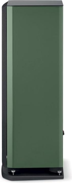 Actual product image Focal Aria Evo X No2 speaker pair *green* (1 pair)