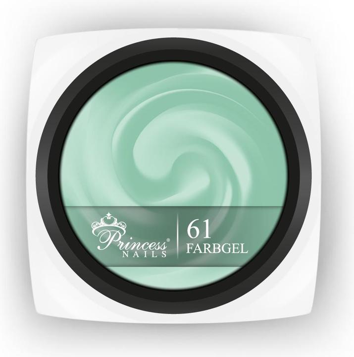 Actual product image PrincessNails Farbgel 61