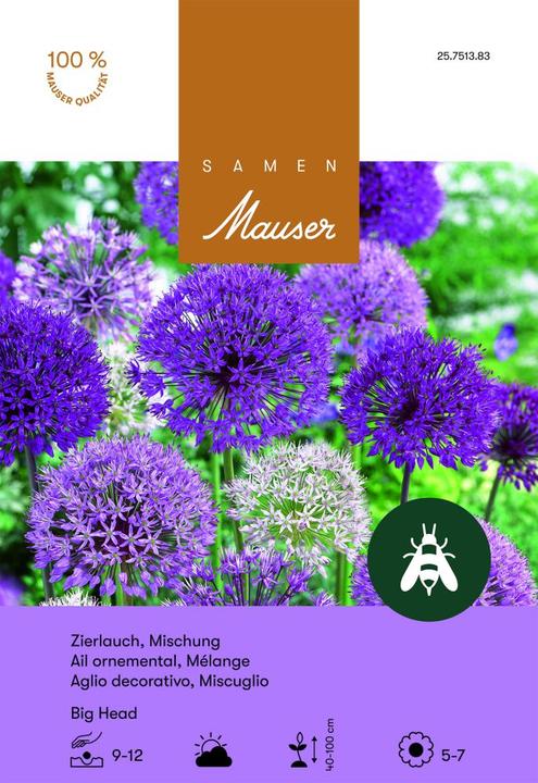 Produktbild Samen Mauser Allium Mischung Big Head (Blumenzwiebeln)