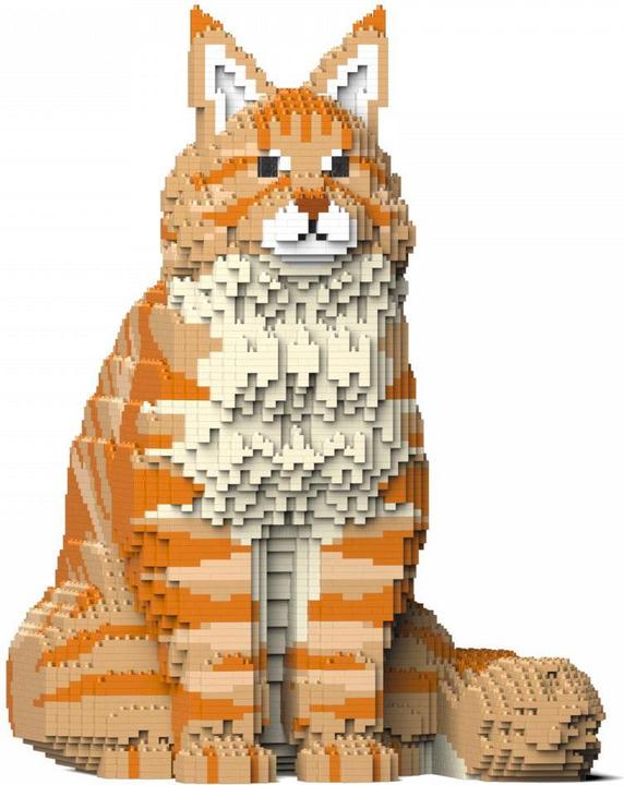Image du produit Jekca Limited Chat Maine Coon