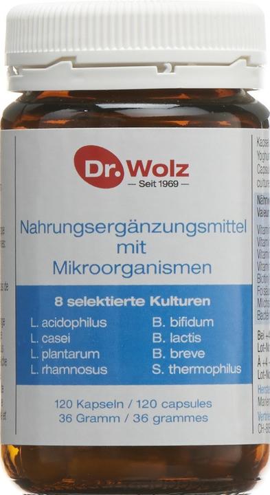 Actual product image Dr. Wolz Microorganisms capsule (120 Piece, Capsules, 138 g)