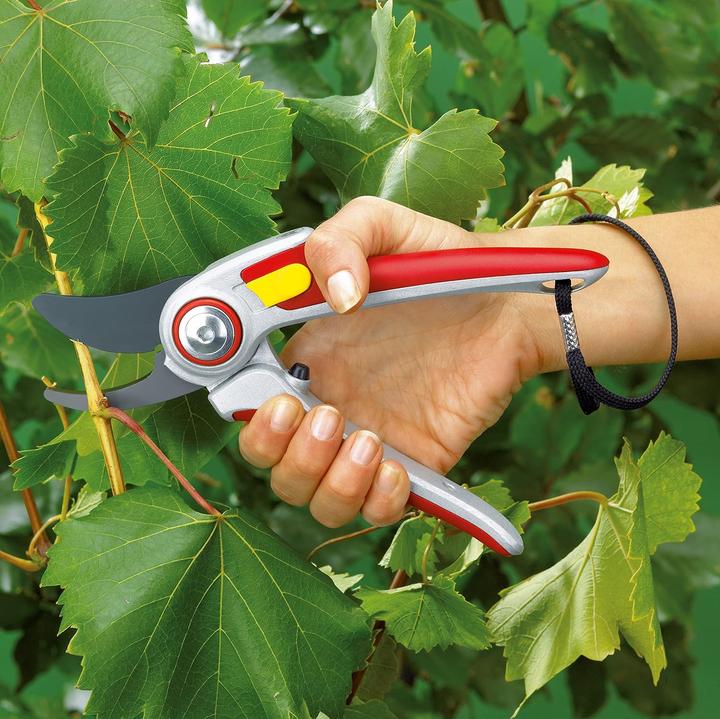 Produktbild Wolf-Garten Rr 5000