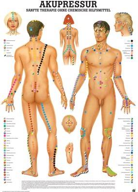 Ruediger RÜDIGER Planche d'apprentissage acupressure 70 x 100 de (70 x 100 cm)