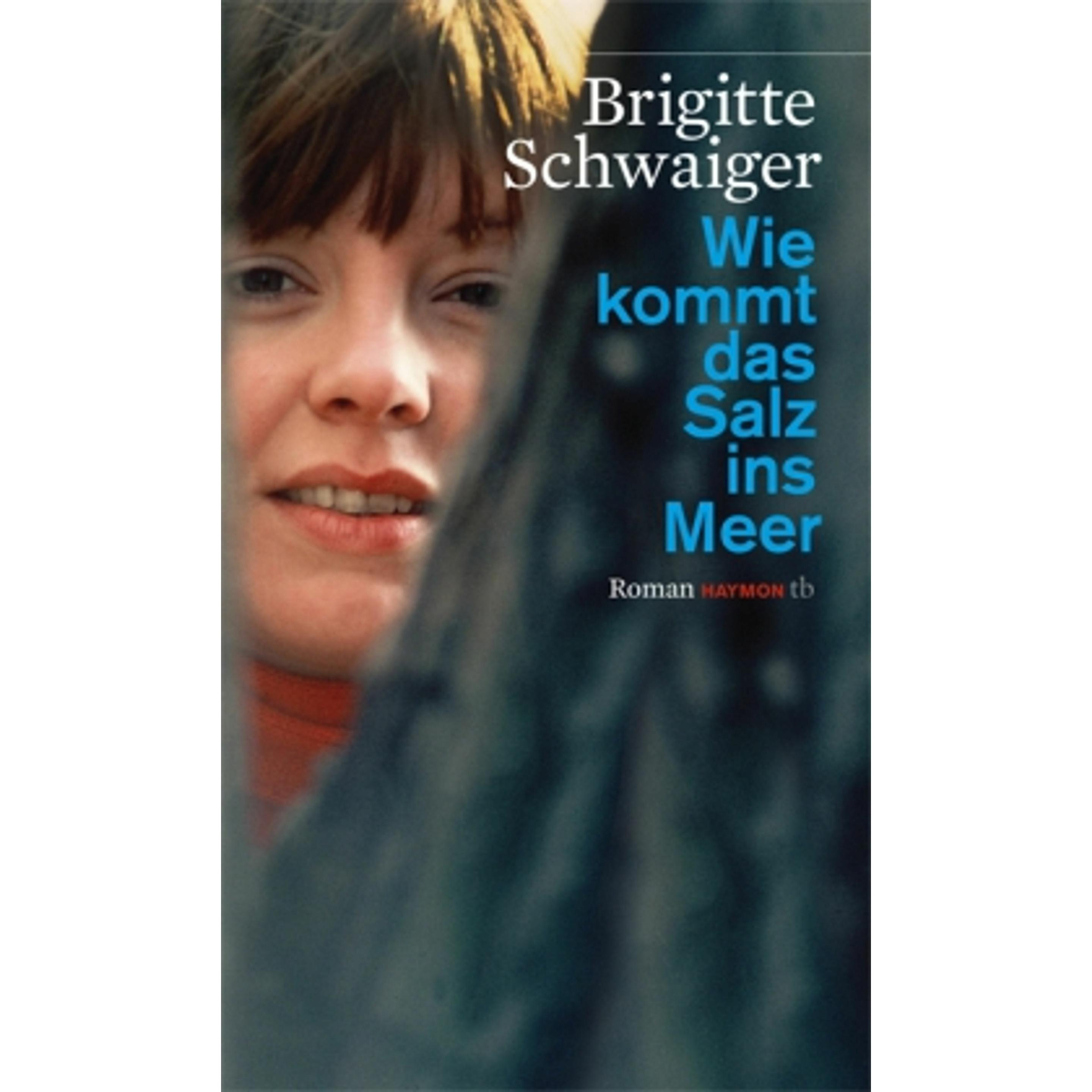 Wie kommt das Salz ins Meer, Belletristik von Brigitte Schwaiger
