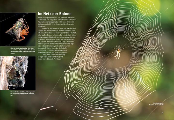 Produktbild Entdecke die Spinnen (Deutsch, Kriton Kunz, 2018)