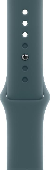 Image du produit Apple Bande sportive (42 mm, Fluoroélastomère)