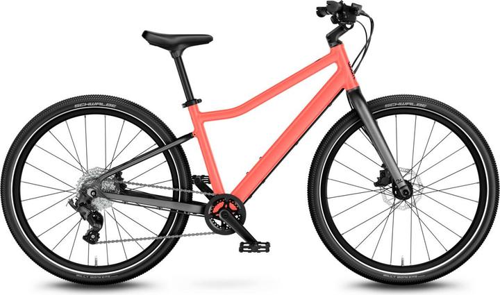 Neon Coral