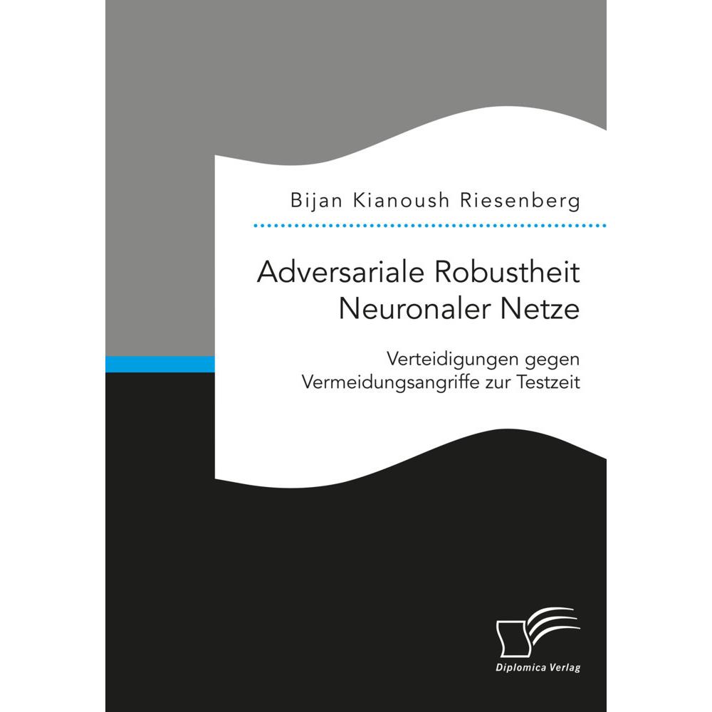 Adversariale Robustheit Neuronaler Netze. Verteidigungen gegen Vermeidungsangriffe zur Testzeit, Fachbücher von Bijan Ki...