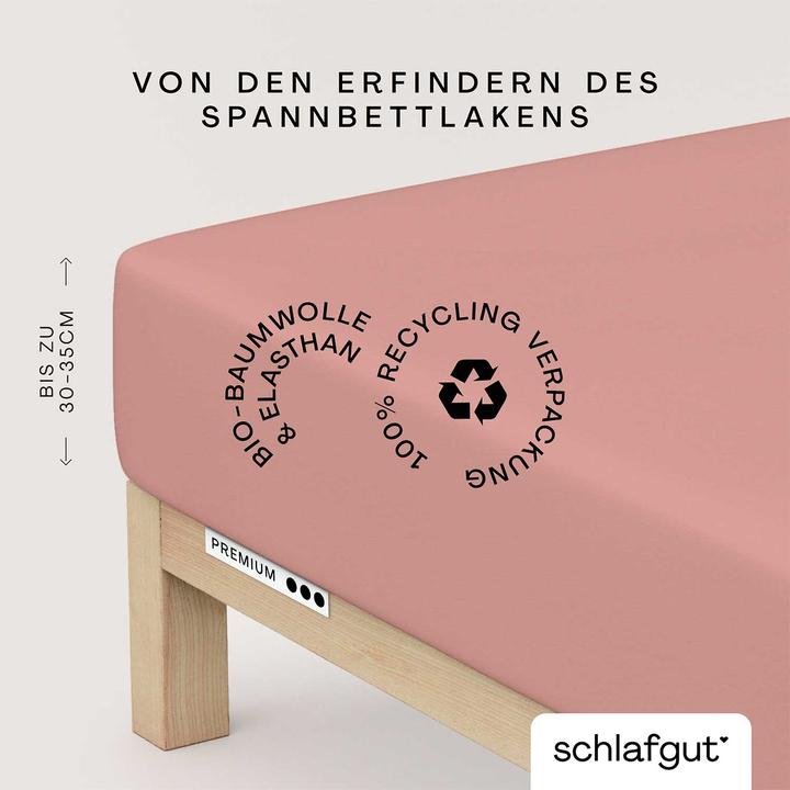 Produktbild schlafgut Premium (120 x 200 - 130 x 220 cm)