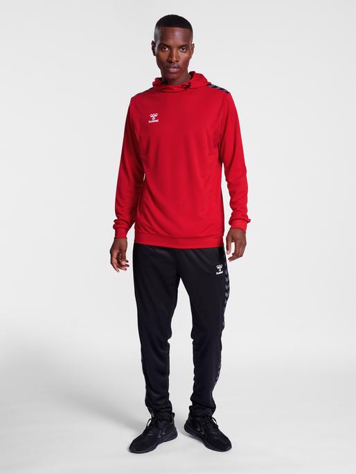 Actual product image hummel Hmlauthentic Pl Hoodie (XL)