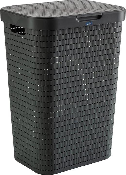 Image du produit Rotho Pays (55 l)