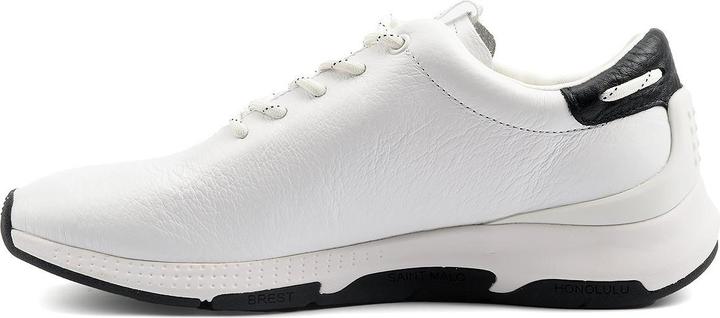 Image du produit TBS Jazaru (36)