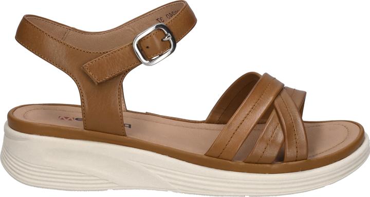 Actual product image Westland 17901-409 (40)